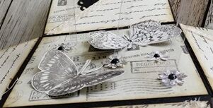 Bianca: Schmetterling flieg.... - 