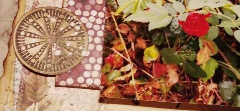 Anna: Ein neues Layout - 