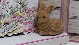 Susanne: Mit kleinem Hasi - 