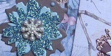 Silvia: Gutschein-Verpackungen - 