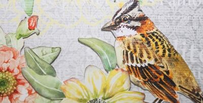 Susanne: Den Frühling locken.... - 