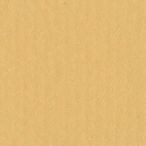 Bazzill Cardstock 12"x12" Brauntöne - Dark Butter