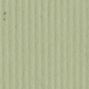 Bazzill Cardstock 12"x12" Grüntöne - Light Spruce