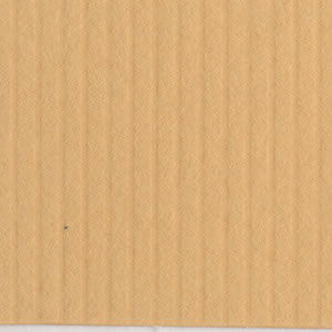 Bazzill Cardstock 12"x12" Gelb- und Orangetöne - Light Tangerine
