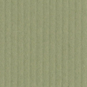 Bazzill Cardstock 12"x12" Grüntöne - Dark Spruce