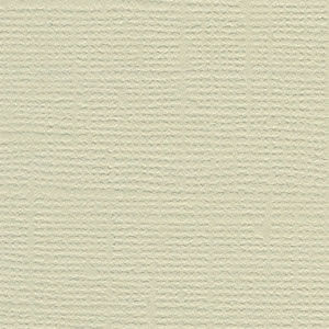 Bazzill Cardstock 12"x12" Grüntöne - Wren