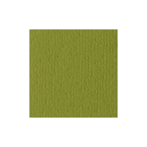 Bazzill Cardstock 12x12 Grüntöne - Olive