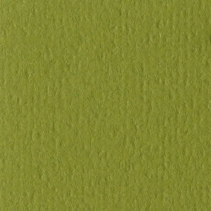 Bazzill Cardstock 12"x12" Grüntöne - Olive