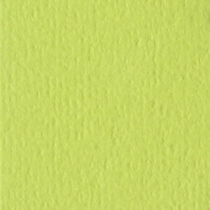 Bazzill Cardstock 12"x12" Grüntöne - Green Tea (Orange Peel)