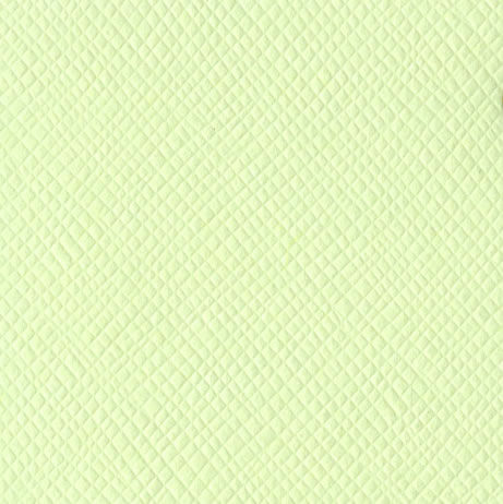 Bazzill Cardstock 12"x12" Grüntöne - Honeydew (Criss Cross)