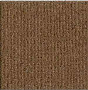Bazzill Cardstock 12x12 Brauntöne - Walnut