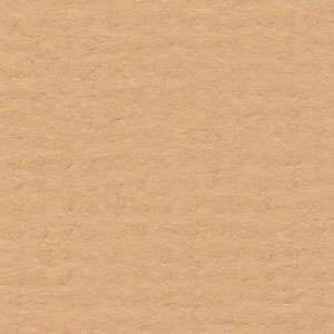 Bazzill Cardstock 12x12 Brauntöne - Saddle