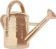 MYM Die-Cuts - Bloom & Grow Watering Can