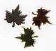 CRI Brad Metall Maple Leaf Gold
