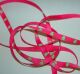 SRH - Grosgrain 3/8" Pink Frogs (BND0253)