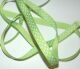 SRH Ribbon - Grosgrain 3/8" - Apple Green mit white Dots