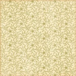 G45 Cardstock - Times Nouveau - Wallflower