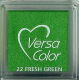 TSK Stempelkissen - Versa Color Fresh Green