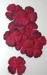 PRM Flowers - Hydrangea Burgundy