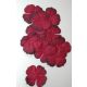 PRM Flowers - Hydrangea Burgundy