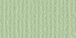 Bazzill Cardstock 12"x12" Grüntöne - Aloe Vera