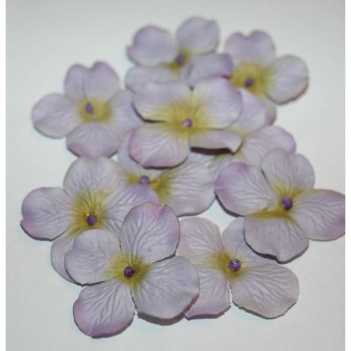 PRM Flowers - Hydrangea Lilac-Green