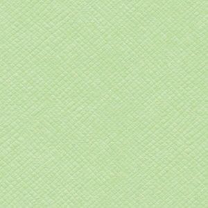 Bazzill Cardstock 12"x12" Grüntöne - Katydid