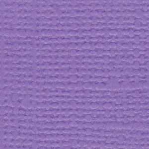 Bazzill Cardstock 12"x12" Lilatöne - Wild Pansy