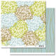 SCR Papier - Ashville Edwin Place