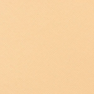 Bazzill Cardstock 12"x12" Gelb- und Orangetöne - Pumpkin Seed