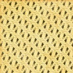 G45 Cardstock - On the Boardwalk Bathing Beauties
