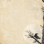 DSP Cardstock - Superstition Quoth the Raven