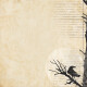 DSP Cardstock - Superstition Quoth the Raven