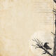 DSP Cardstock - Superstition Quoth the Raven