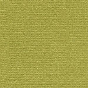 Bazzill Cardstock 12"x12" Grüntöne - Lily Pad