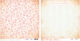 TGP Papier - Paper Girl Shabby Flower