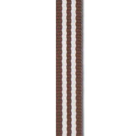MYR Ribbon - Earth Stripe