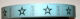 SRH Ticket Blue Star