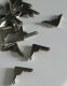 SRH Metal Art - 12 St. Buchecken Silber  22x22x5 mm