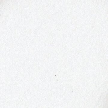 RAG Embossing Powder - Antiquities Frosted Crystal