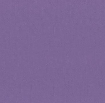 Bazzill Cardstock 12"x12" Lilatöne - Grape