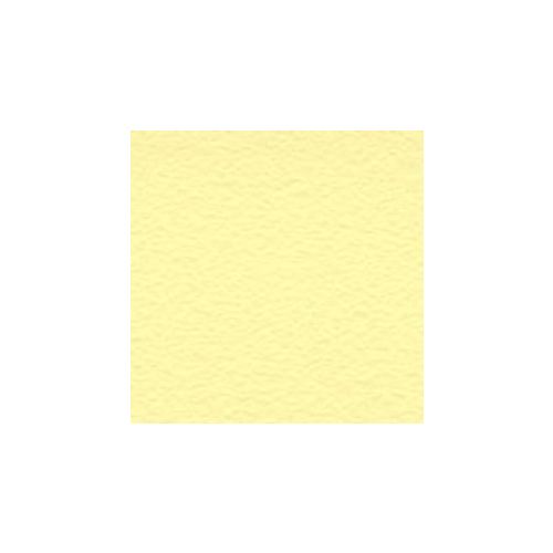 Prism Cardstock 12"x12" Gelb- und Orangetöne - Frosted Yellow