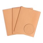 Prism Cardstock 12"x12" Gelb- und...