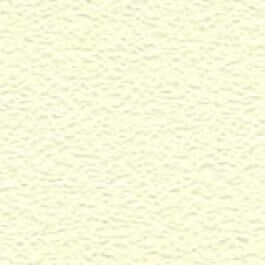 Prism Cardstock 12x12 Grüntöne - Iced Kiwi