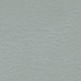 Prism Cardstock 12"x12" Grüntöne - Sage Light