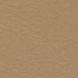 Prism Cardstock 12"x12" Brauntöne - Tawny Medium