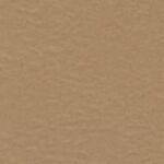 Prism Cardstock 12"x12" Brauntöne - Tawny...