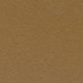 Prism Cardstock 12"x12" Brauntöne - Tawny Dark