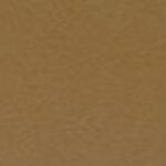 Prism Cardstock 12"x12" Brauntöne - Tawny...