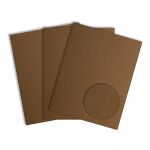 Prism Cardstock 12"x12" Brauntöne - Tawny...